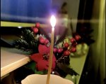 img (8)